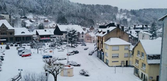 Ideal Montagne Le Mont-Dore Exterior foto